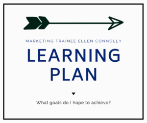 Graphic reading "Learning Plan"