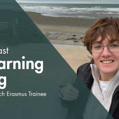 belfats learning log of french erasmus trainee